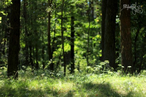 Фотовиставка Тетяни Должко